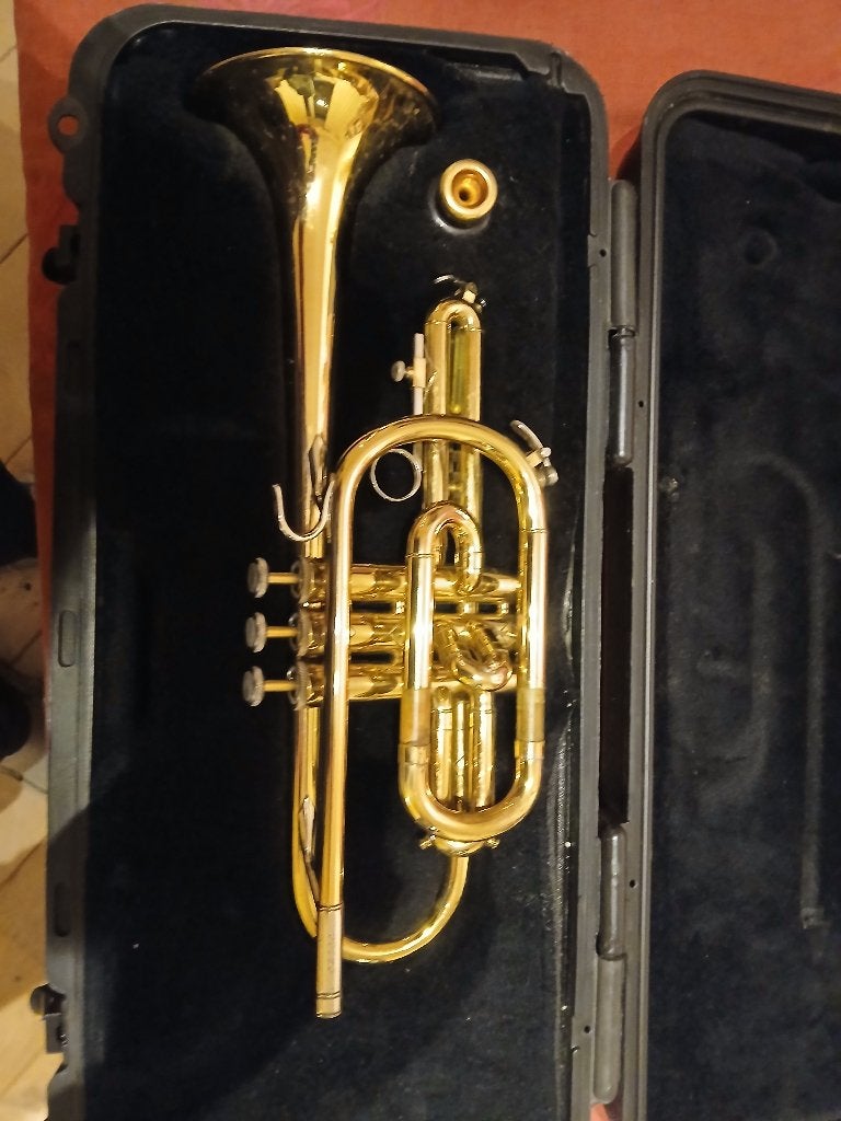 cornet, Enlèvement, Utilisé, Trompette en si bémol, Avec valise