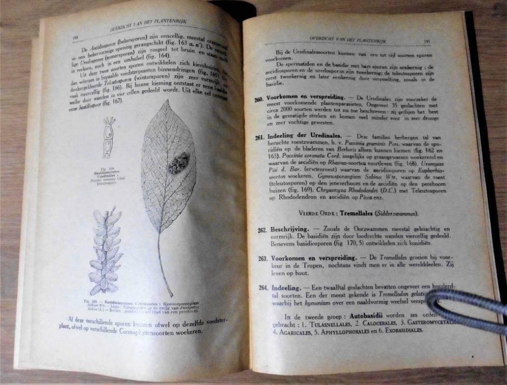 aanleeren der plantkunde door Dr. C. De Bruyker 1927, Boeken, Ophalen of Verzenden