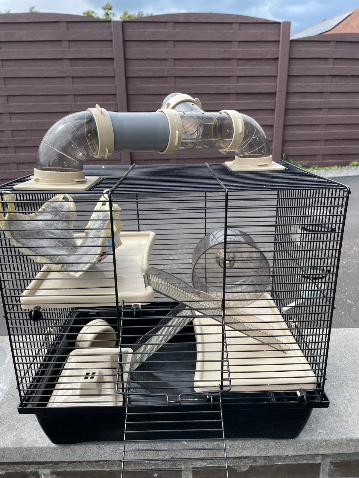 Hamsterkooi met accessoires, Dieren en Toebehoren, Kooi, Gebruikt, Minder dan 75 cm, Hamster