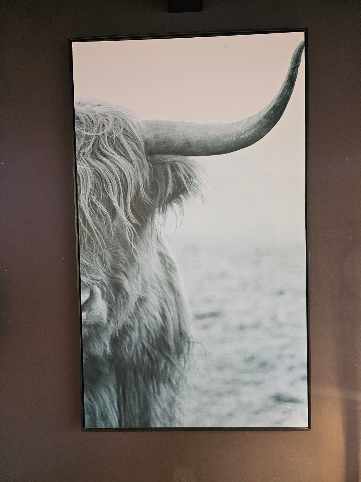 grote zwart-wit fotoprint/wanddecoratie van een Schotse Hoog, Enlèvement