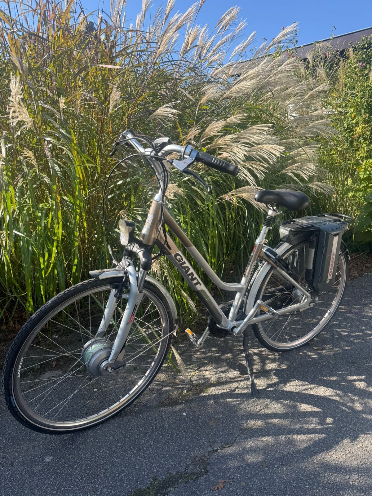 Beige/zilveren fiets — Giant Twist Lite Power, Fietsen en Brommers, Ophalen, Gebruikt, 50 km per accu of meer, Giant