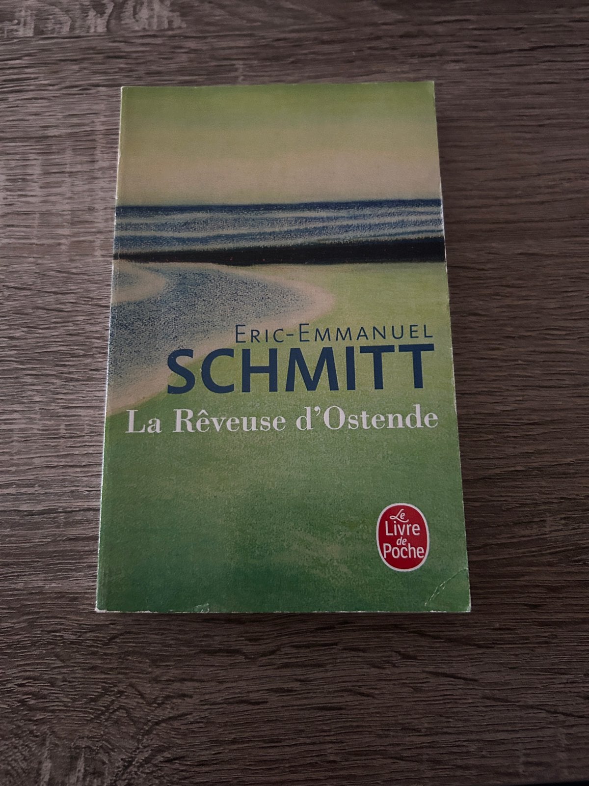 La Rêveuse d'Ostende, Boeken, Studieboeken en Cursussen, Verzenden, Gelezen