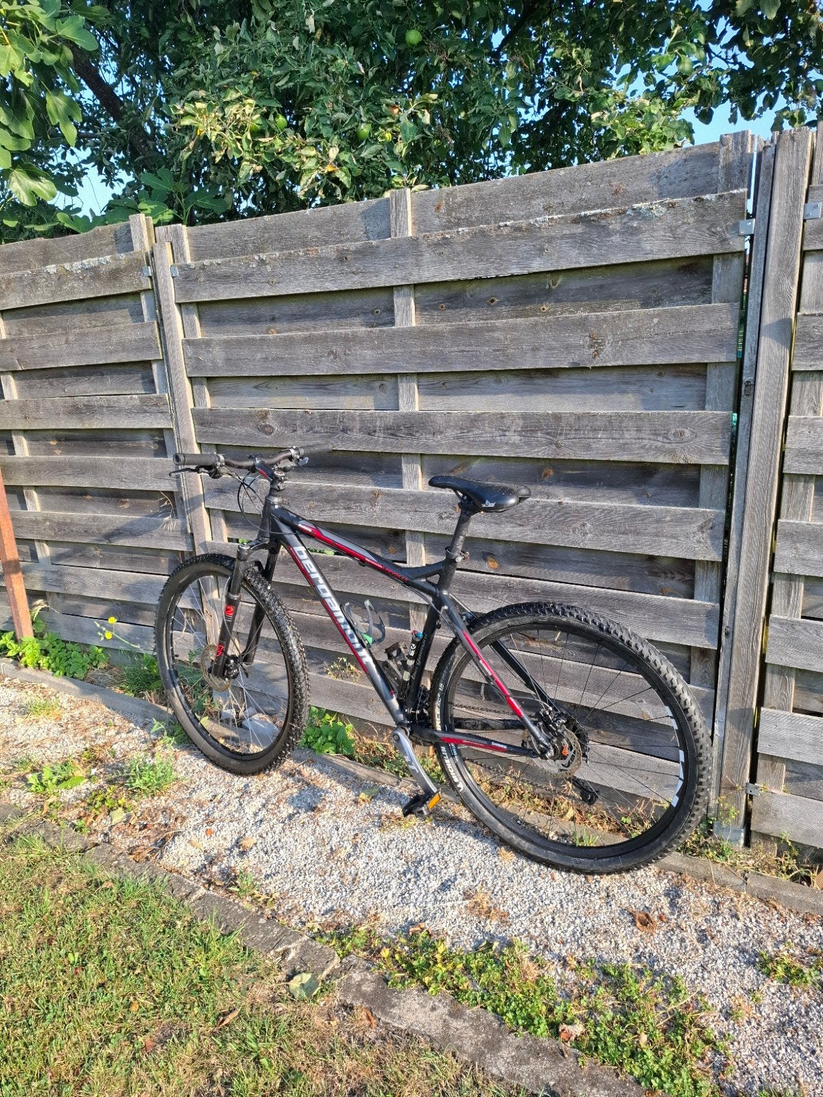 VTT bergammont 29', Enlèvement