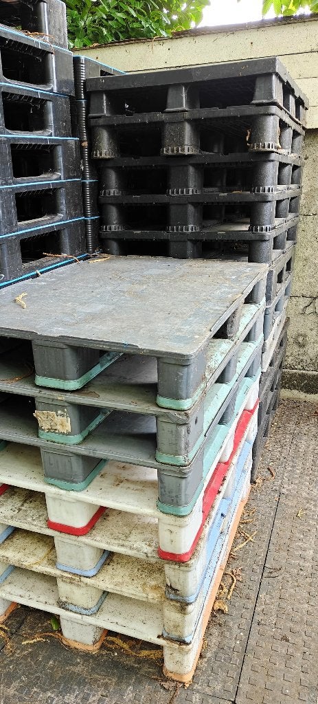 MIX restpartij 19 kunststof paletten met gesloten dek, Doe-het-zelf en Bouw, Hout en Planken, Gebruikt, Ophalen