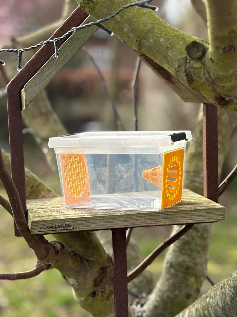 Boîte à pièges à frelons asiatiques, Jardin & Terrasse, Pesticides, Neuf, Lutte antiparasitaire, Enlèvement ou Envoi