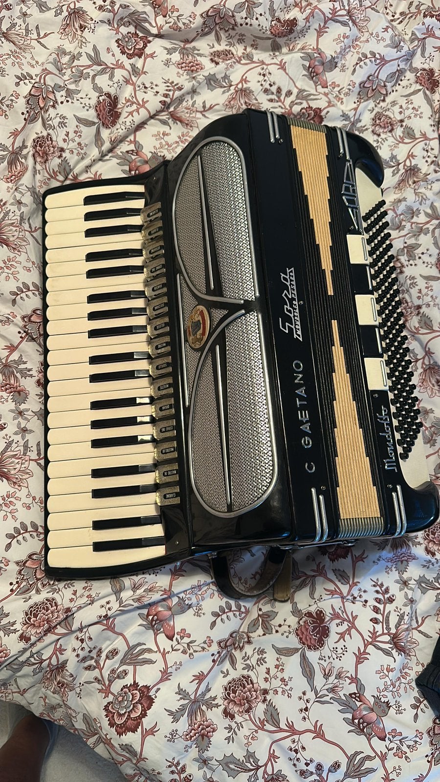 Sora-accordeon gemaakt in Italië, Muziek en Instrumenten, Accordeons, Gebruikt, Met koffer, Toetsaccordeon, 120-bas