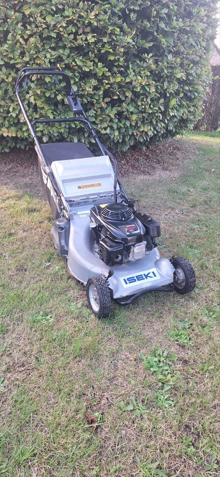 Tondeuse Professionnelle ISEKI - HONDA GXV 160, Enlèvement, Sac de ramassage