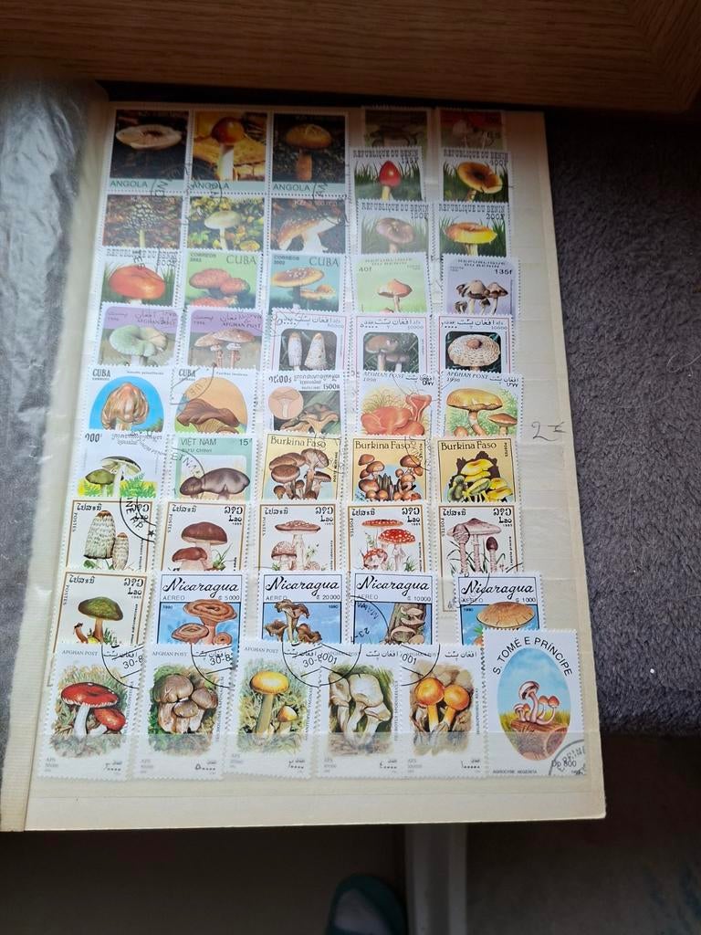 Postzegels paddestoelen, Postzegels en Munten, Ophalen