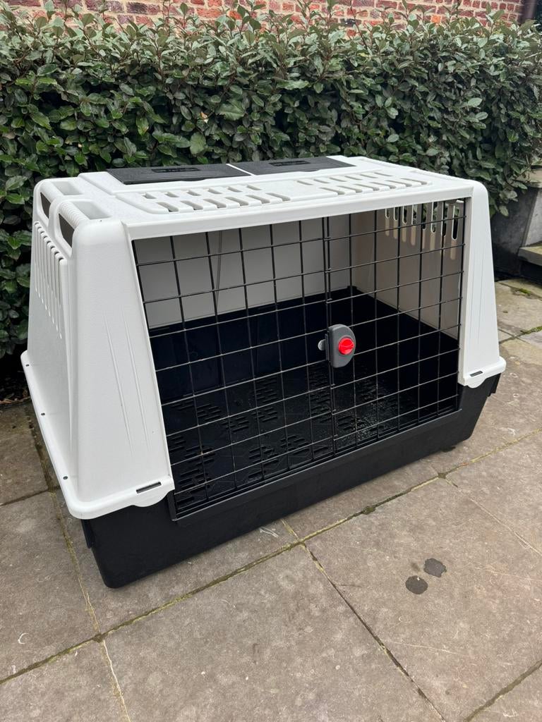 Cage pour chien Ferplast, Enlèvement, Utilisé