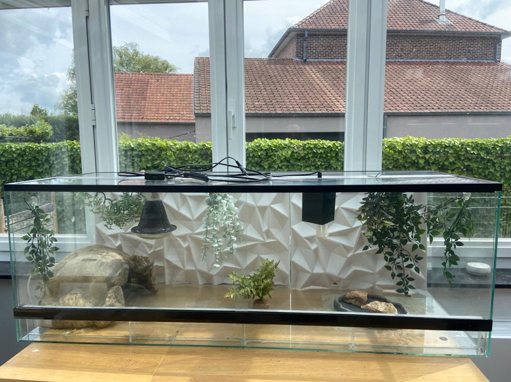 Terrarium, Ophalen, Zo goed als nieuw, Terrarium of Paludarium