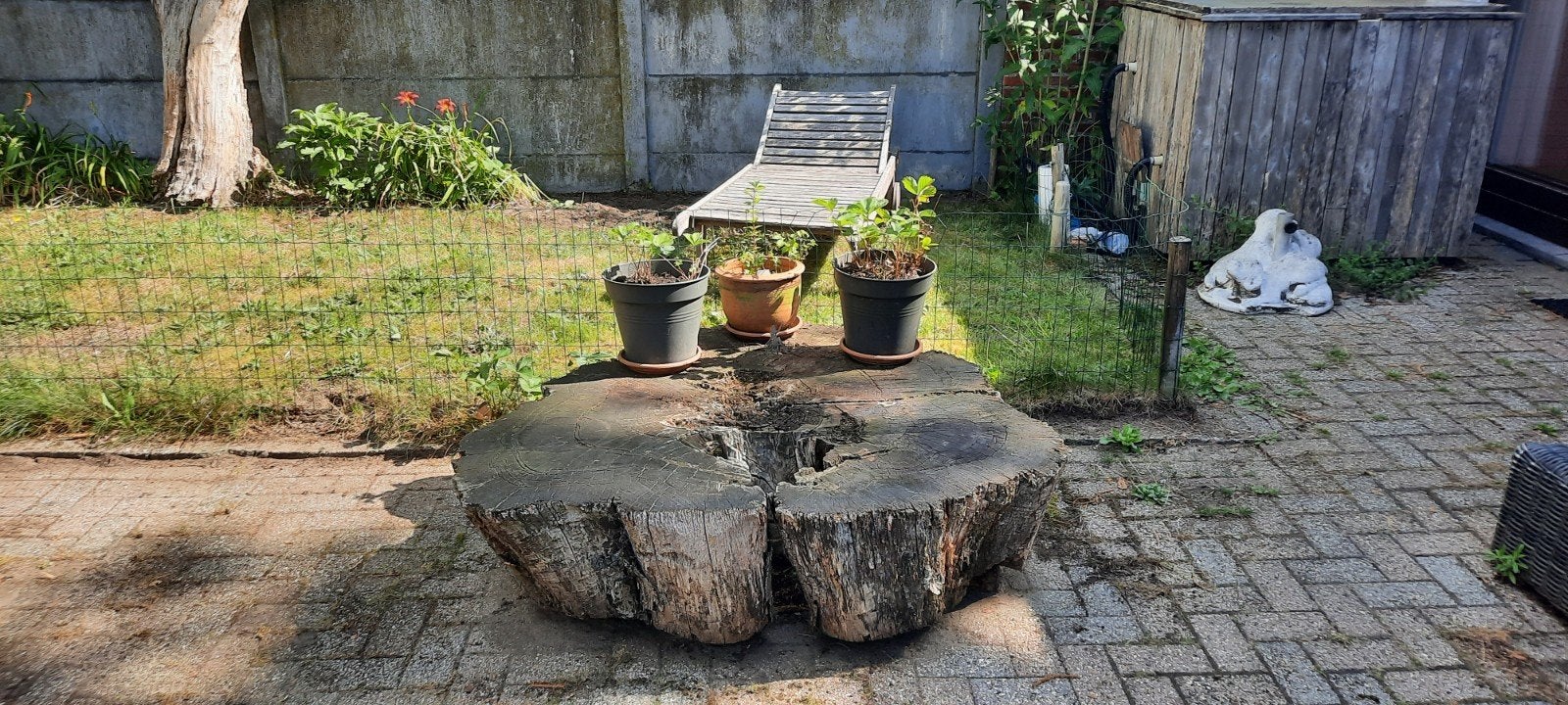 GRATIS Boomstronk tafel, of stookhout, Enlèvement