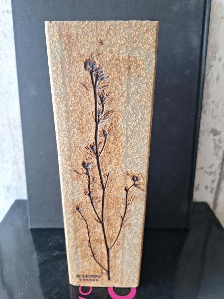 vase  grand format raymonde leduc vallauris  herbier 25cm, Enlèvement