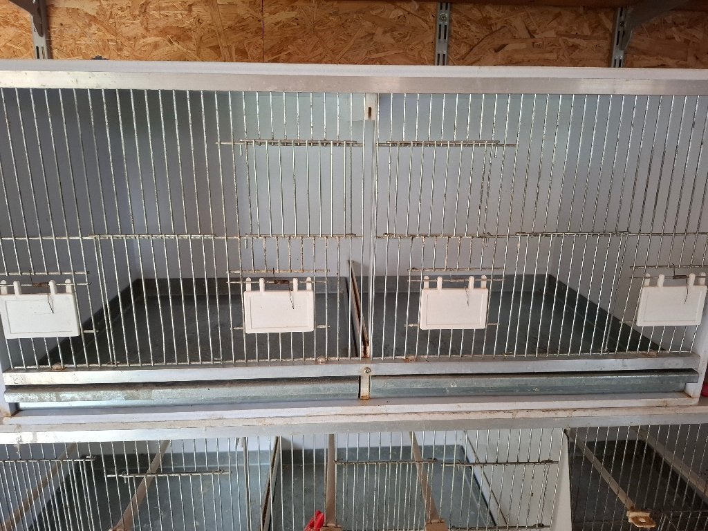 Trespa Kweekkooi, Dieren en Toebehoren, Ophalen, Gebruikt, Kunststof, Broedkooi of Kweekkooi
