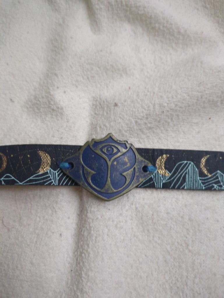 Tomorrowland Winter '22 Bracelet Friday, Handtassen en Accessoires, Ophalen of Verzenden