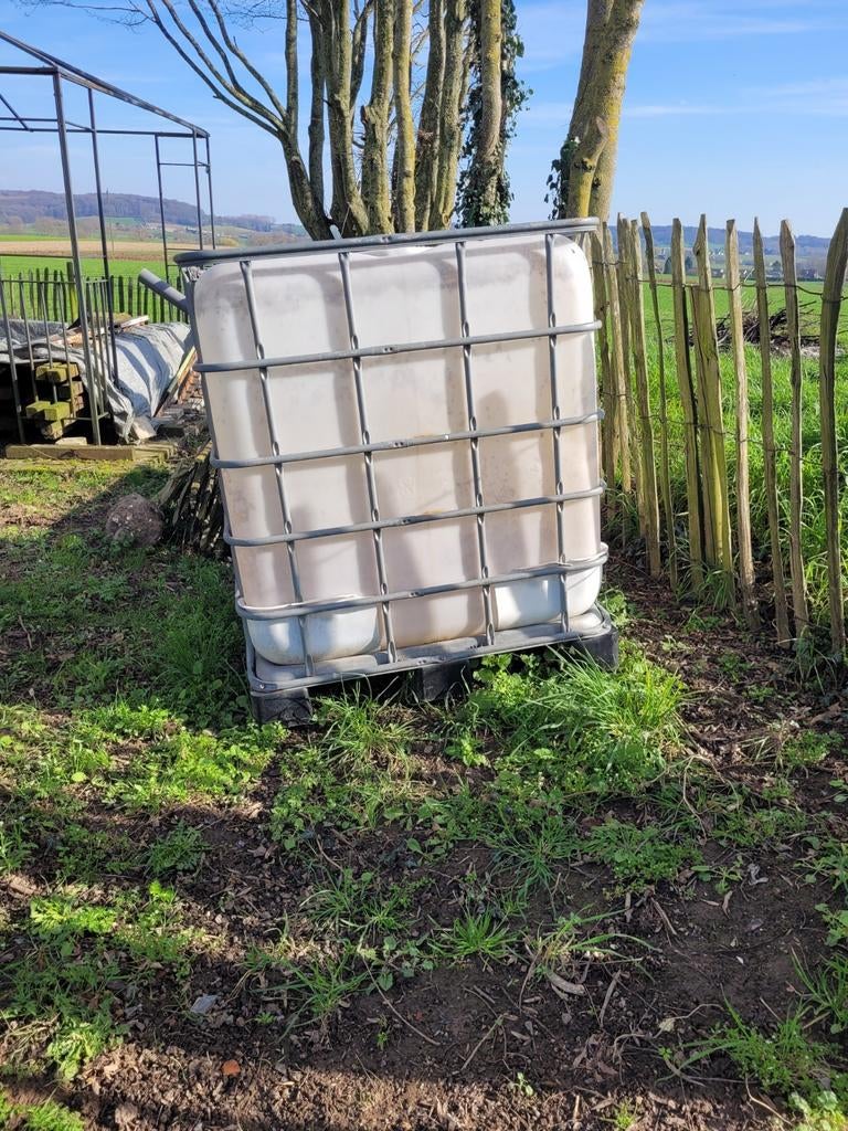 Cubi. Regenwatertank van 1000 liter, 150 liter of meer, Ophalen, Gebruikt, Met kraantje