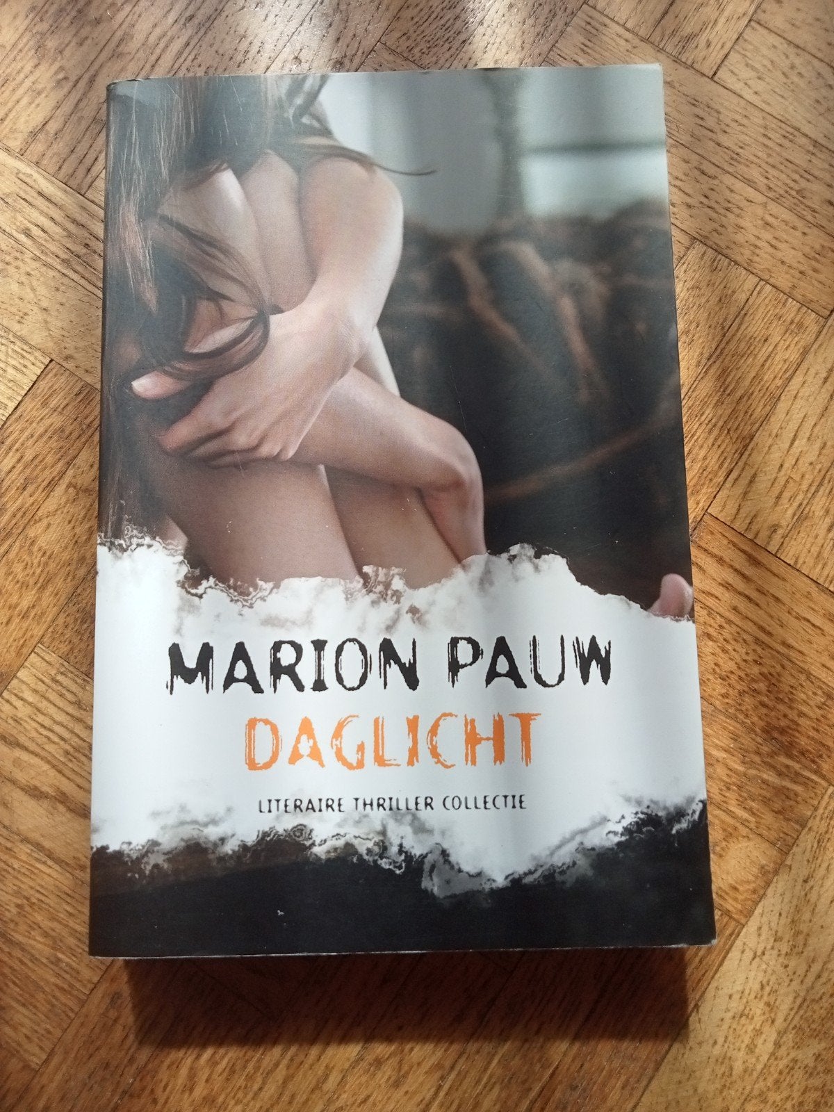 Marion Pauw: Daglicht, Ophalen of Verzenden, Gelezen