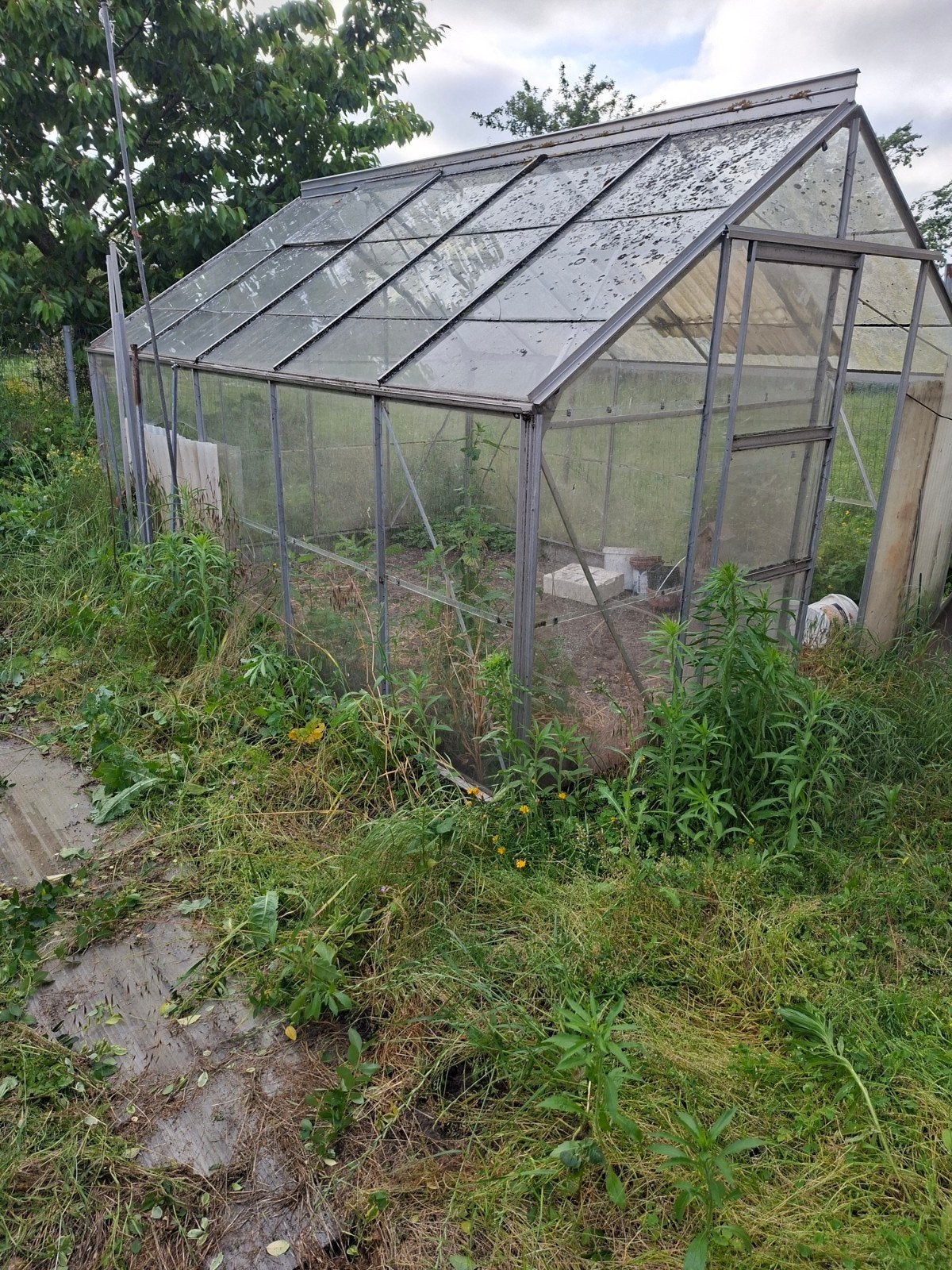 Gratis serre, Jardin & Terrasse, Verre, Serre, Enlèvement, Utilisé