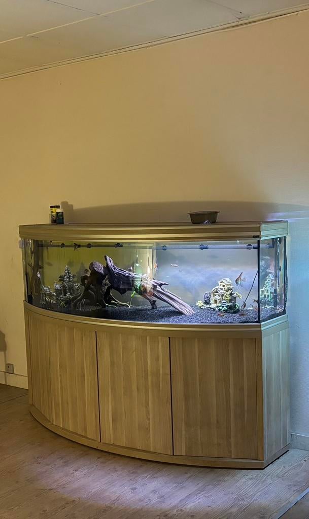 Aquarium aqualantis 2meter (hout), Dieren en Toebehoren, Vissen | Aquaria en Toebehoren, Ophalen, Gebruikt