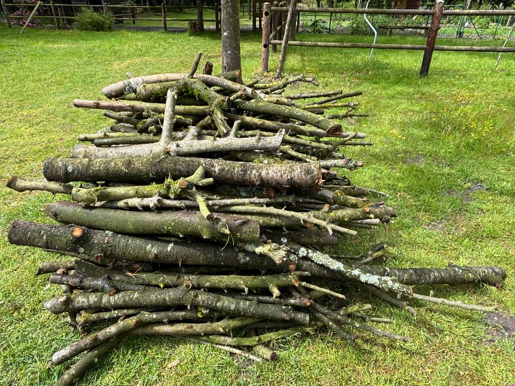 Stookhout, Tuin en Terras, Brandhout, Ophalen, Overige houtsoorten, Takken