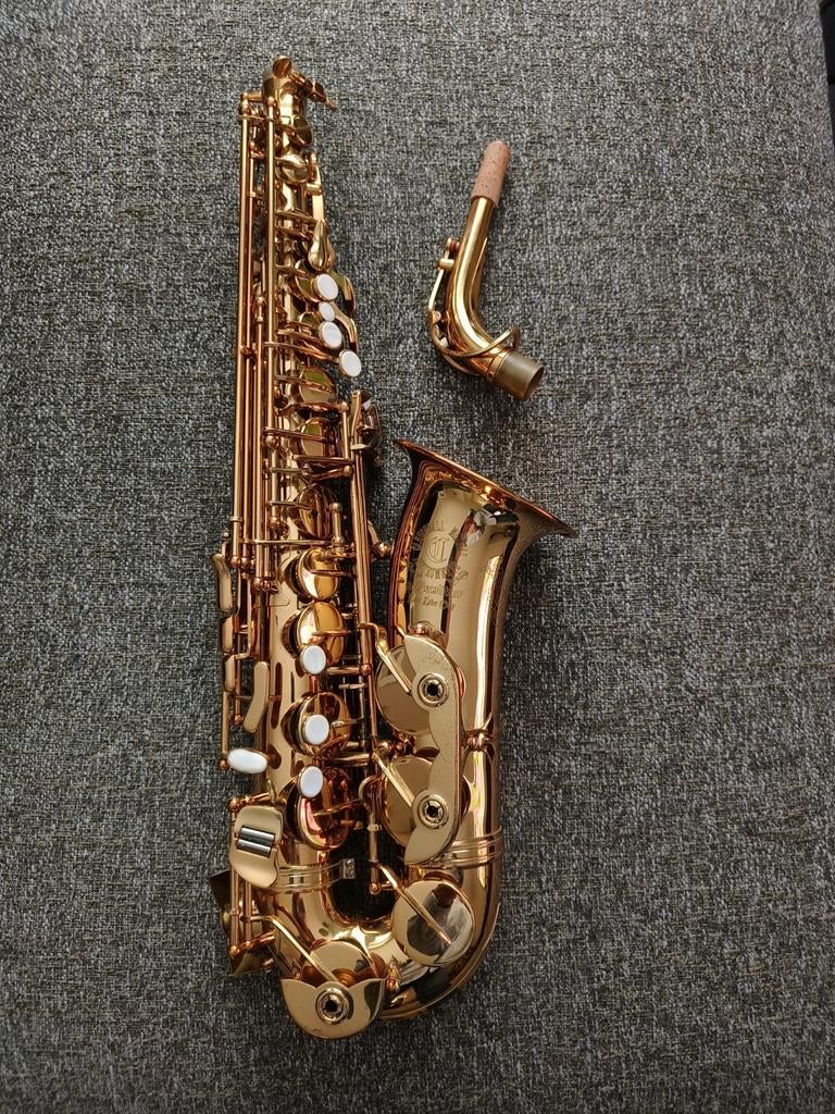 Saxophone alto Cannonball Excalibur, Musique & Instruments, Instruments à vent | Saxophones, Enlèvement ou Envoi