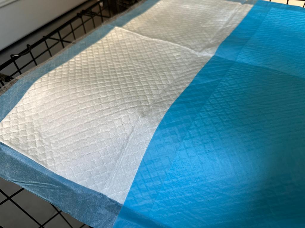 Training pads voor hond/kat, Dieren en Toebehoren, Ophalen of Verzenden, Nieuw