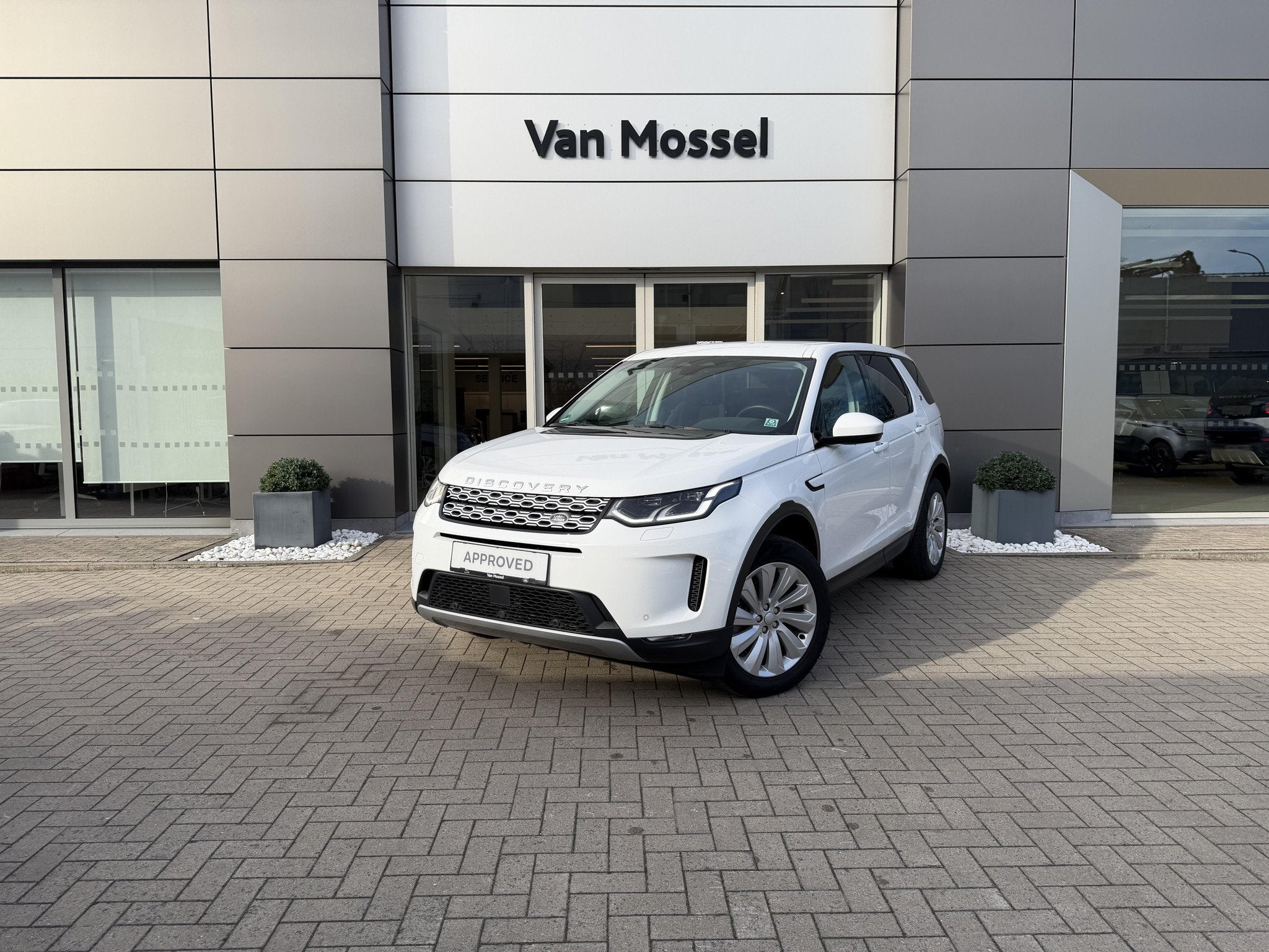 Land Rover Discovery Sport 1.5 PHEV P300e S (automatique), Cuir, Achat, Entreprise, Autres carburants