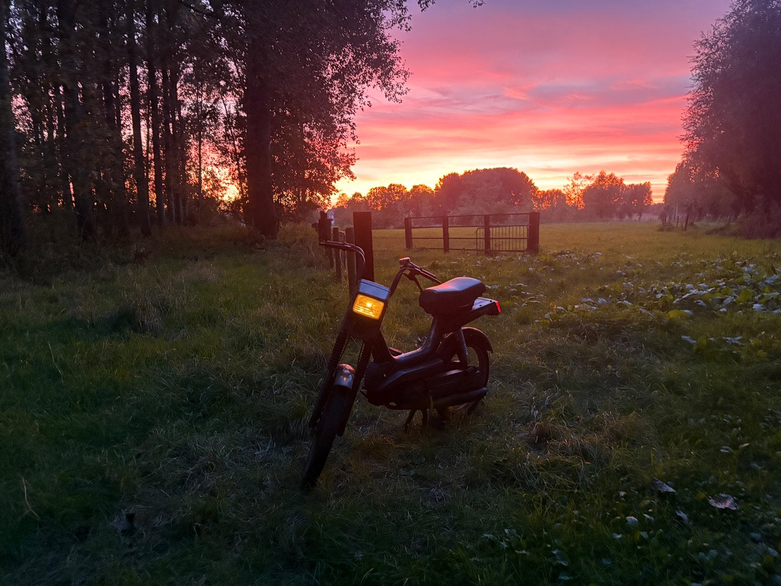 Het is een garelli gary met papieren, Klasse A (25 km/u), 49 cc, 1 versnellingen, Ophalen