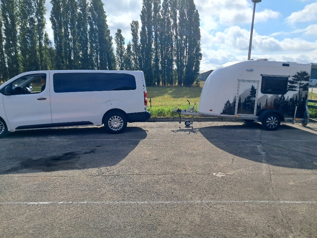 bestelwagen, Autos, 90 kW, Achat, Diesel, Automatique