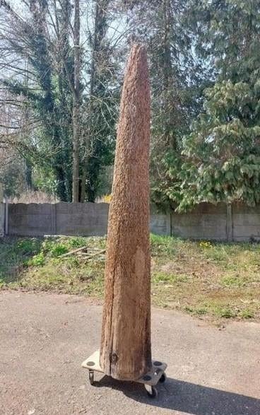 Poteau/pic de sculpture décorative en bois dur, Enlèvement
