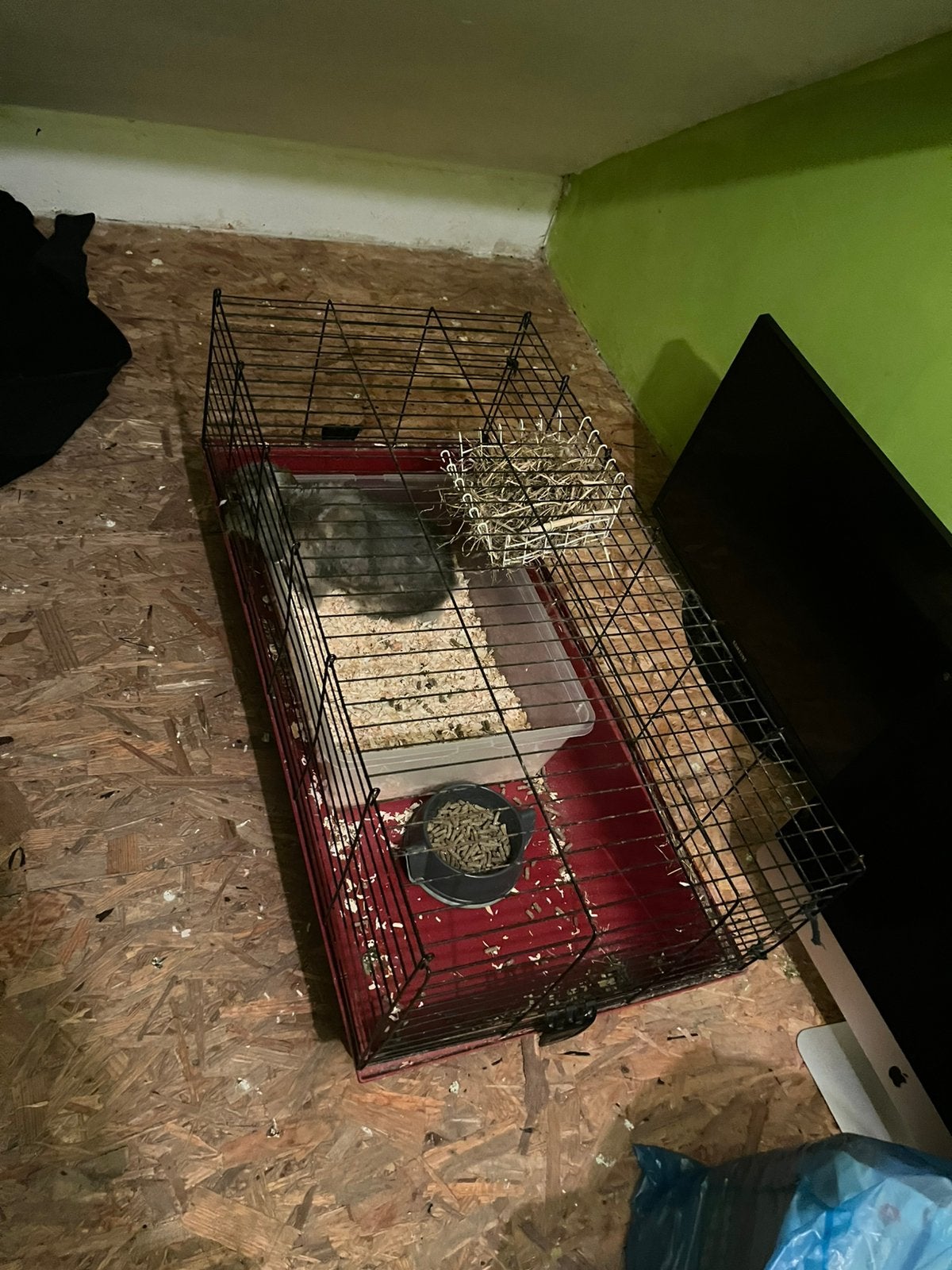 Lapine 3 ans, Enlèvement, Comme neuf, Cage