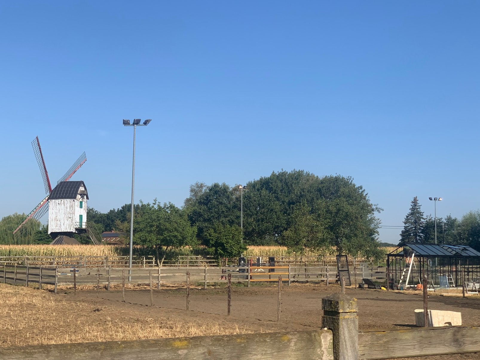 Gezocht: stalling in ruil voor hulp op stal, Dieren en Toebehoren, Stalling en Weidegang, Stalling