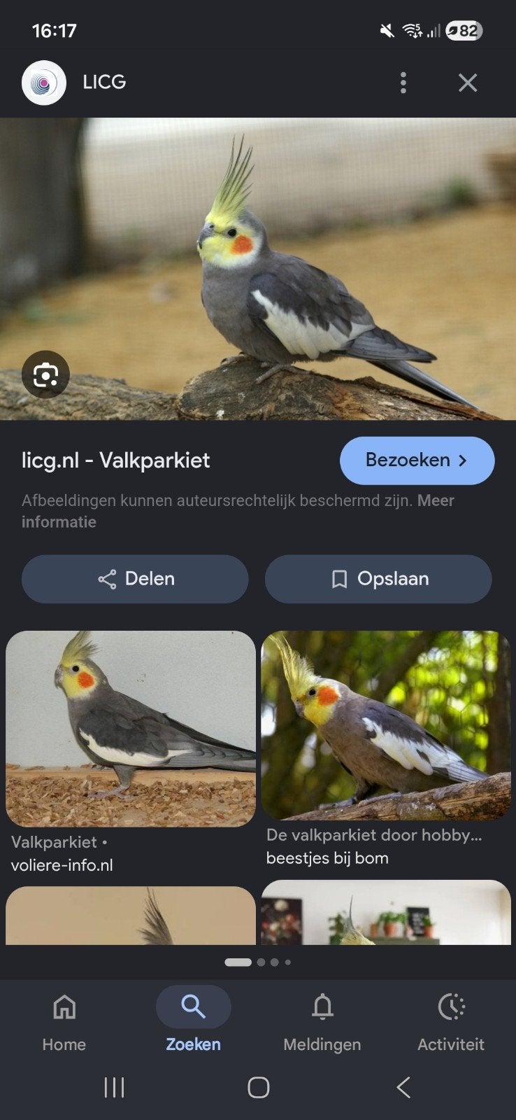 Valkprakiet gezocht