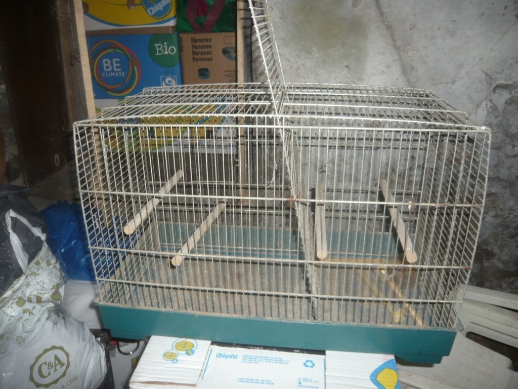 double cache perroquet au canari, Animaux & Accessoires, Enlèvement, Utilisé