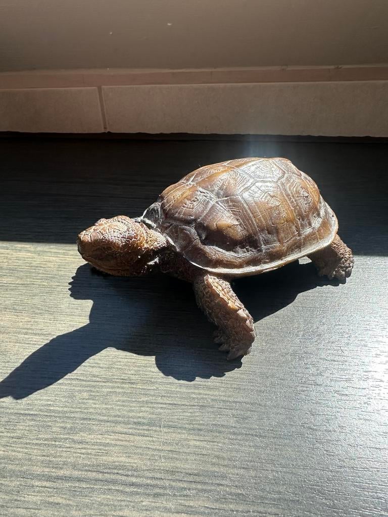 J-Line decoratie schildpad nieuw!, Huis en Inrichting, Ophalen, Nieuw, Bruin, Overige materialen