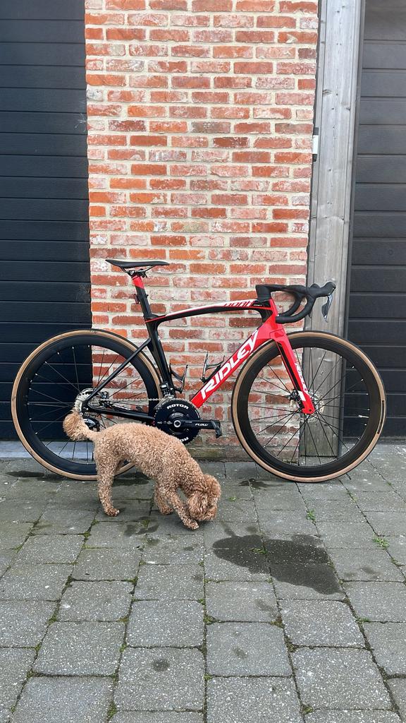 Ridley noah fast di2, Vélos & Vélomoteurs, Enlèvement, Comme neuf, Carbone