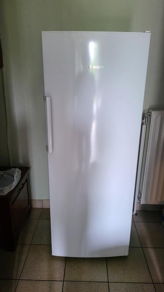 Congelateur Bosch, Electroménager, Congélateurs, Enlèvement