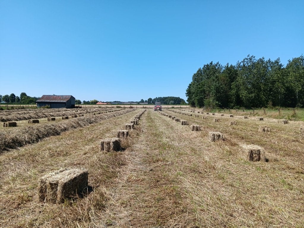 Kleine balen hooi 2026, Enlèvement