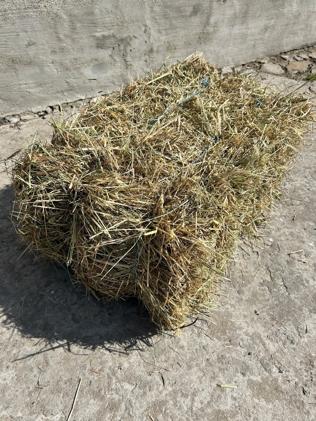 Prachtig natuurhooi, Dieren en Toebehoren, Schapen, Geiten en Varkens