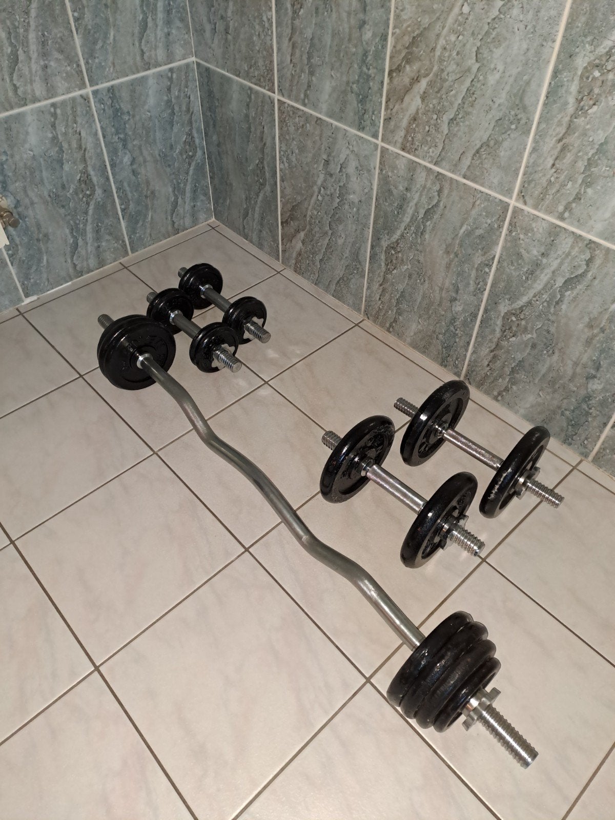 halters, Sport en Fitness, Ophalen, Zo goed als nieuw, Armen, Halterschijven