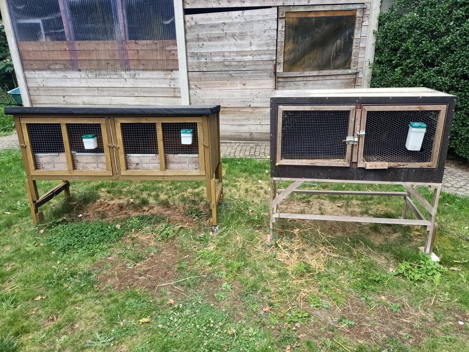 Konijnenhok, Enlèvement, Niche