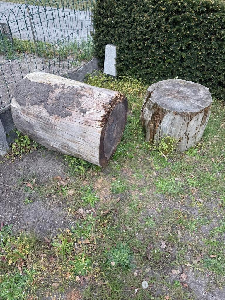 Mooie en droge boomstronken ter decoratie, Jardin & Terrasse, Bois de chauffage, Enlèvement