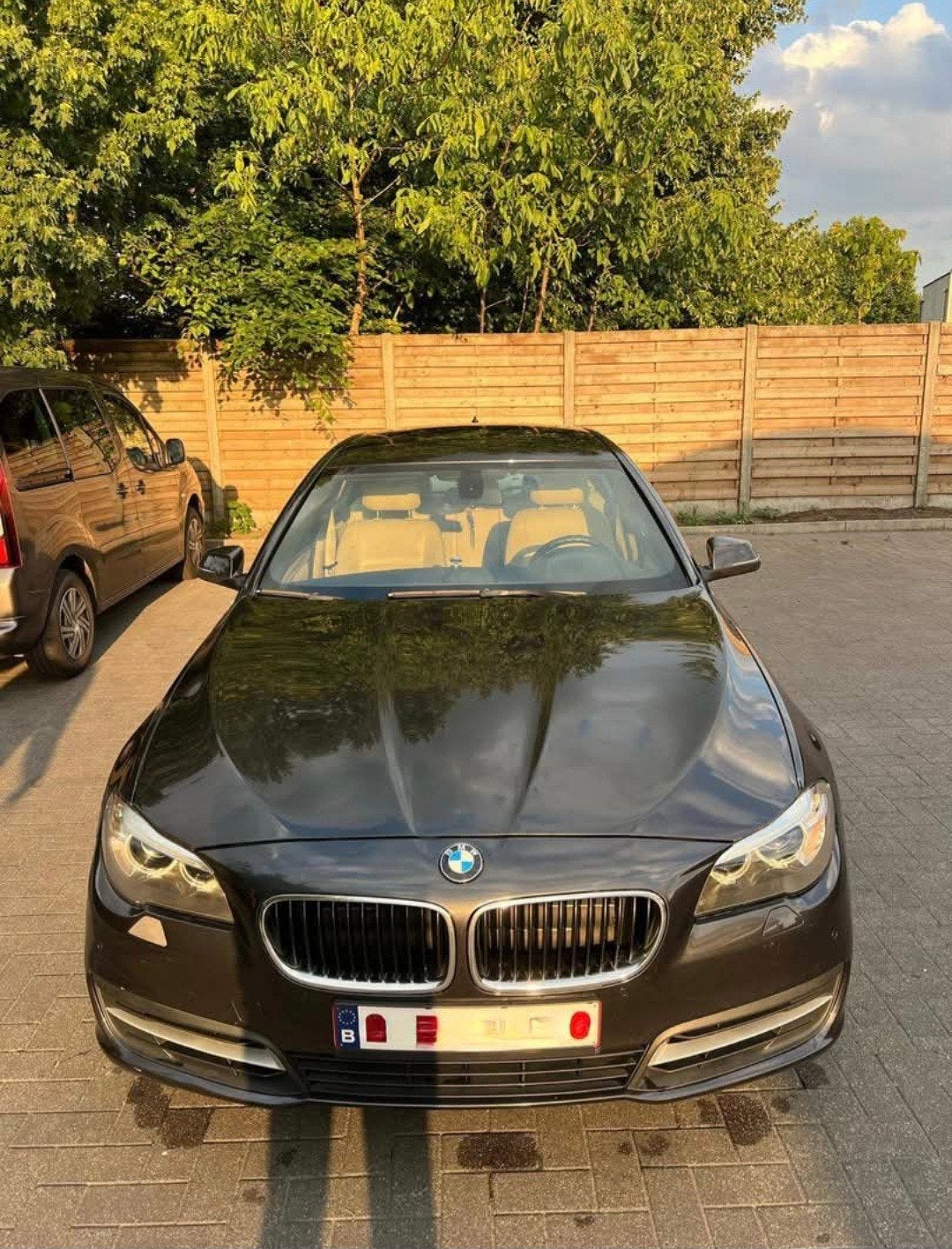 BMW.520d.2014.diesel euro.6. 2.2 .automatisch 188000.km, Automaat, Euro 6, Bruin, Bedrijf