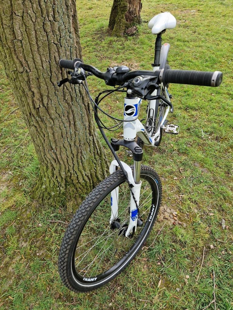 MTB Giant revel3 maat 52, Fietsen en Brommers, Ophalen, Giant