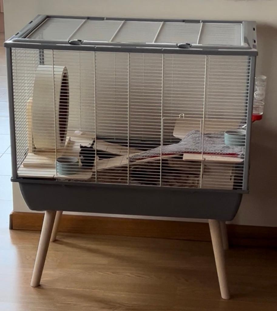 Cage hamster sur pieds en bois avec d’accessoires, Ophalen, Zo goed als nieuw, Kooi, Hamster