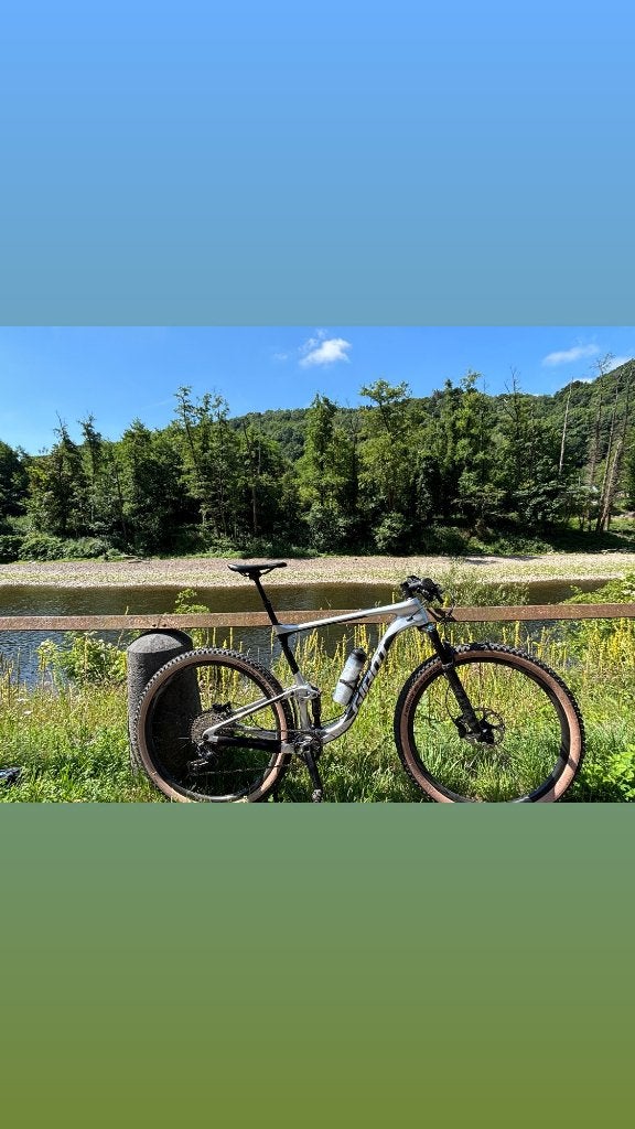 MTB XL, Fietsen en Brommers, Ophalen, Giant, Schijfrem, Heren