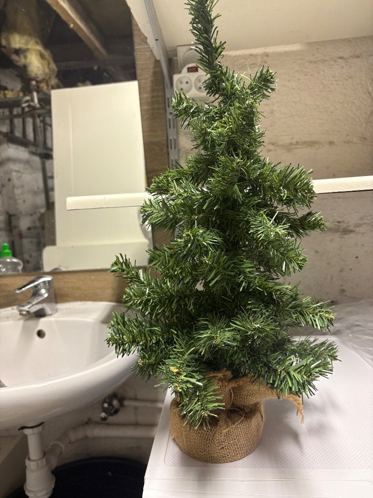 Mini kerstboom, Ophalen, Gebruikt