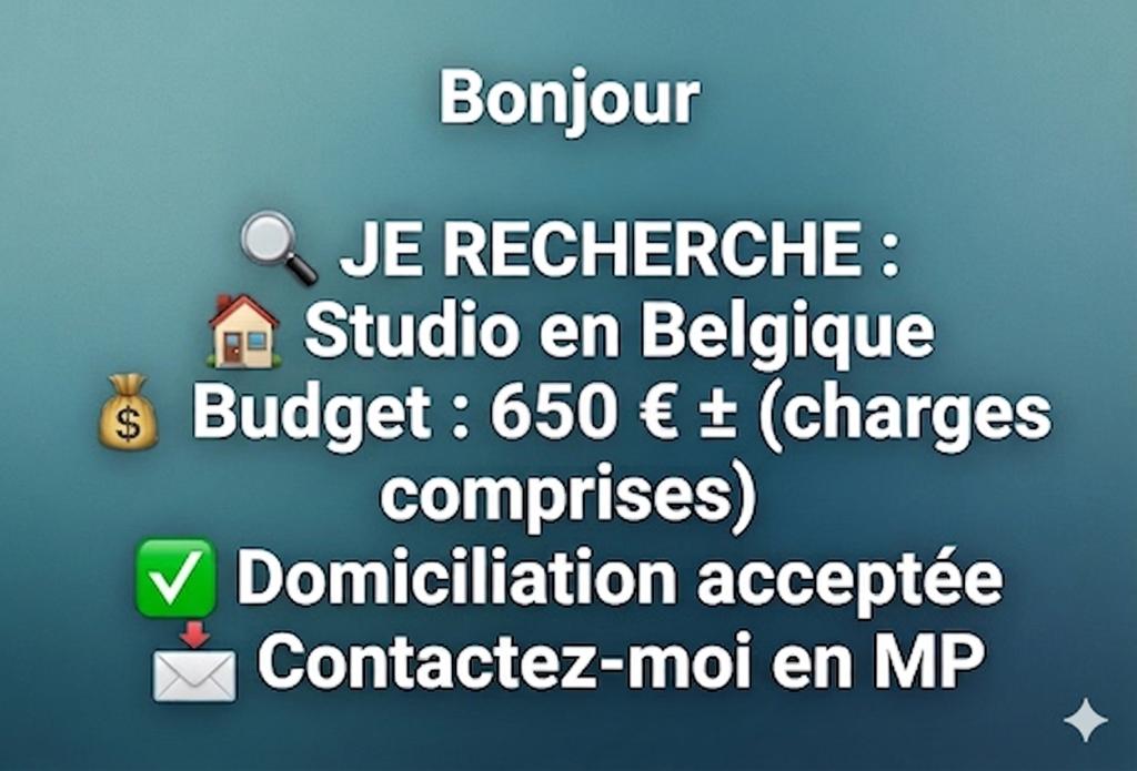 JE RECHERCHE STUDIO : TOUTE BELGIQUE (Wallonie/Flandre), Bruxelles