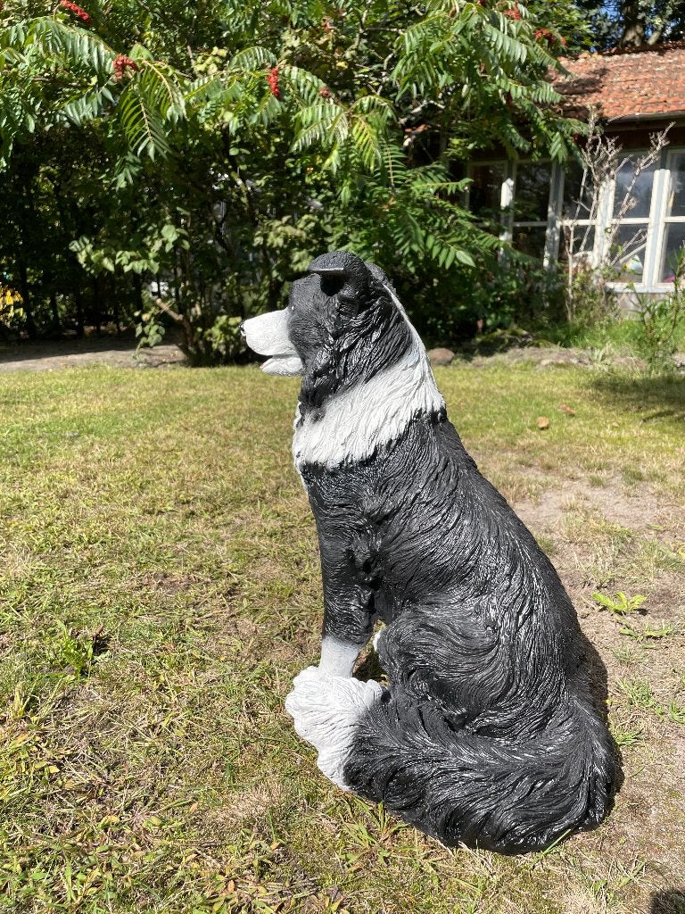 (Tuin)beeld Bordercollie, hond, tuin, kennel 50cm, Ophalen, Nieuw, Kunststof, Dierenbeeld