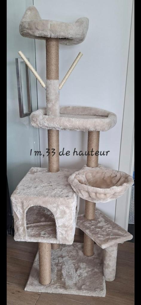 Arbre à chat, Enlèvement ou Envoi