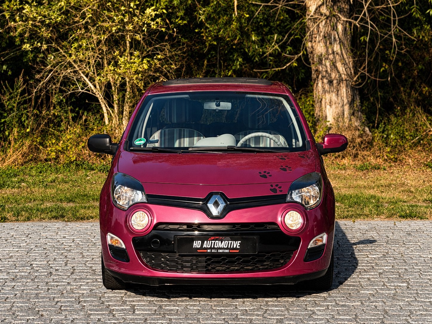 Renault Twingo 1.2i 16v | 122667 KM | 2013 | OpenAir | Euro5, Voorwielaandrijving, Handgeschakeld, Grijs, 119 g/km